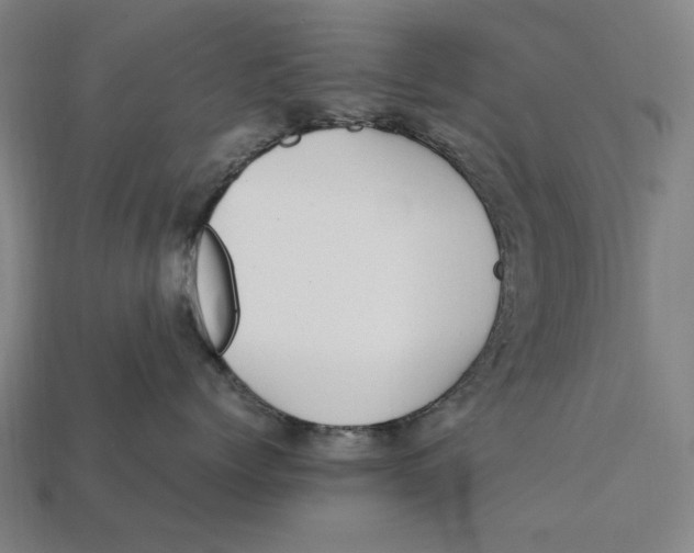 X0000112410768200909110950