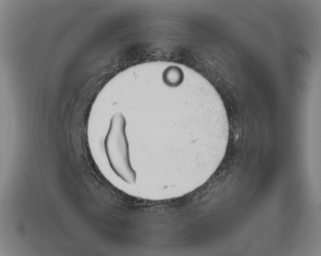 X0000112410769200909110949