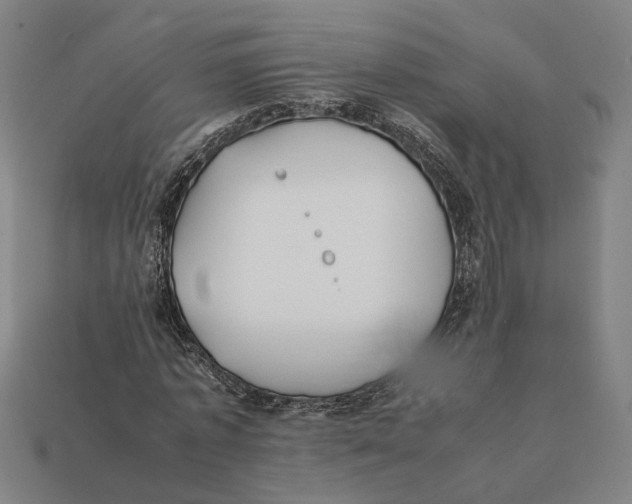 X0000112410773200909110949