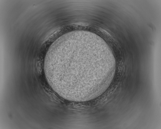 X0000112410774200909110949