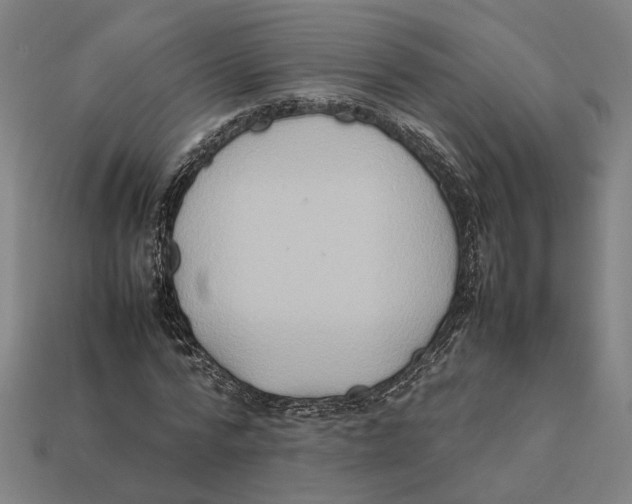 X0000112410776200909110949