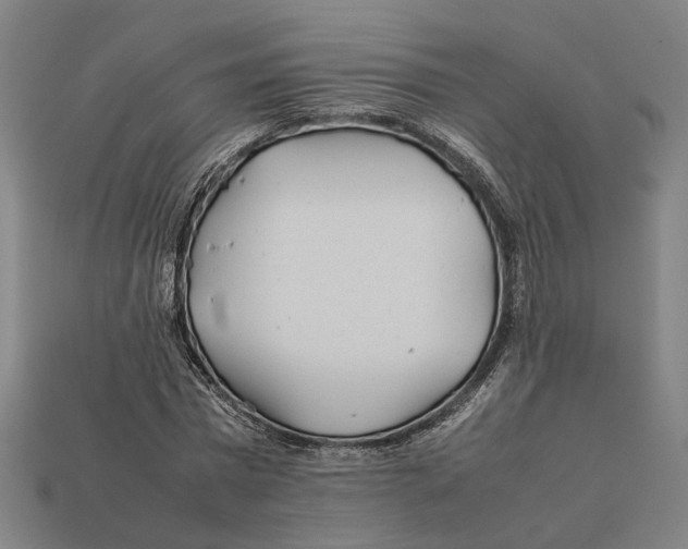X0000112410777200909110949