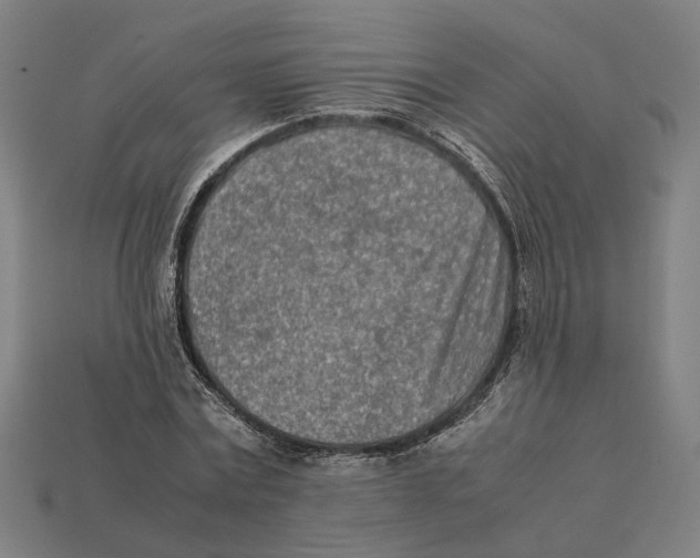 X0000112410779200909110949