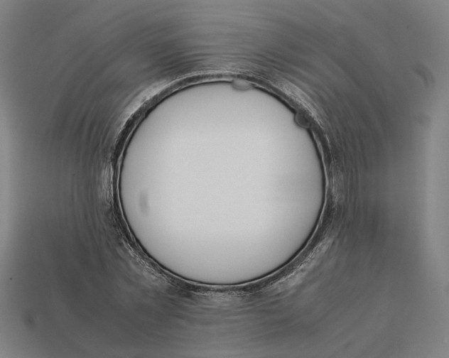 X0000112410781200909110949