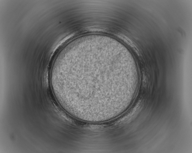 X0000112410782200909110949