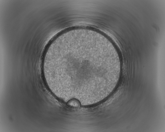 X0000112410783200909110949