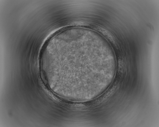 X0000112410784200909110949
