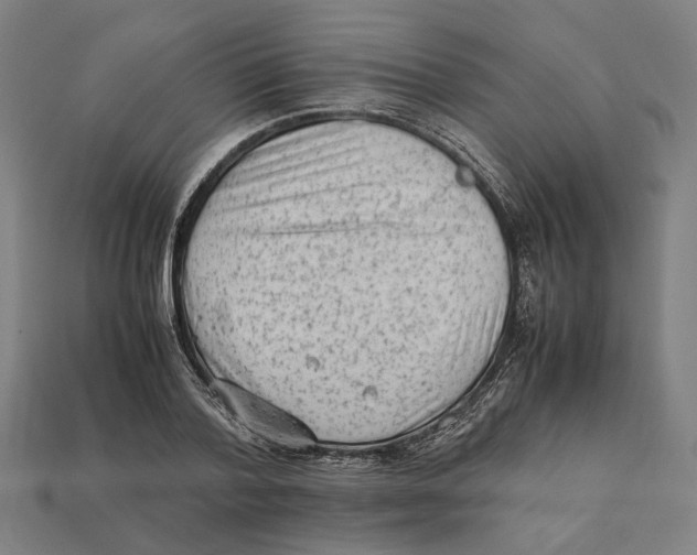 X0000112410788200909110949
