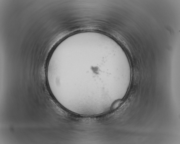 X0000112410789200909110949
