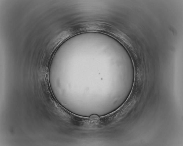 X0000112410793200909110949