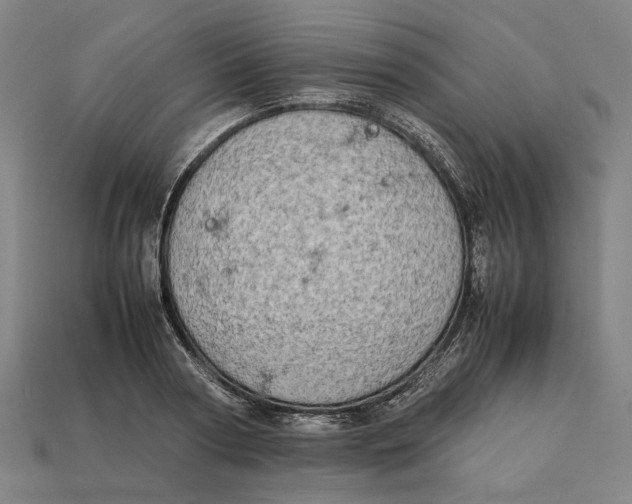 X0000112410794200909110949