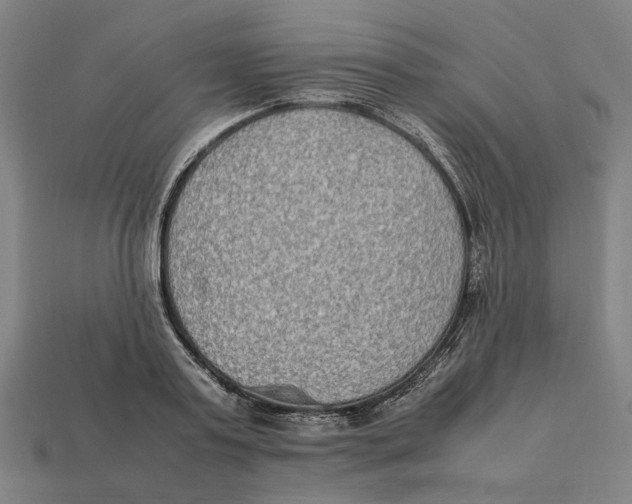 X0000112410795200909110949