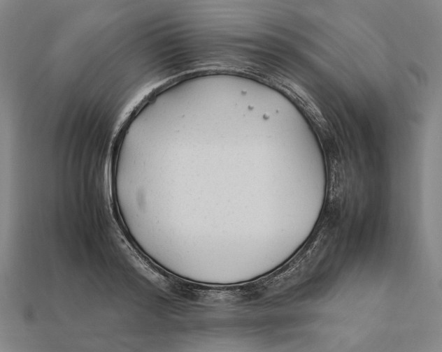 X0000112410796200909110949