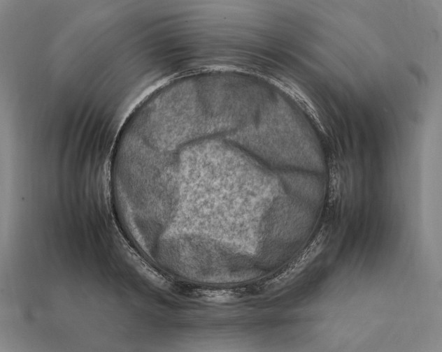 X0000112410798200909110949