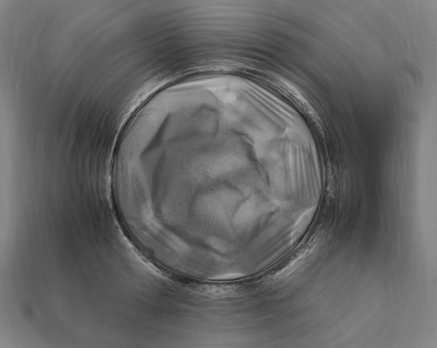 X0000112410802200909110949