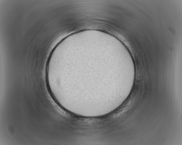 X0000112410803200909110948