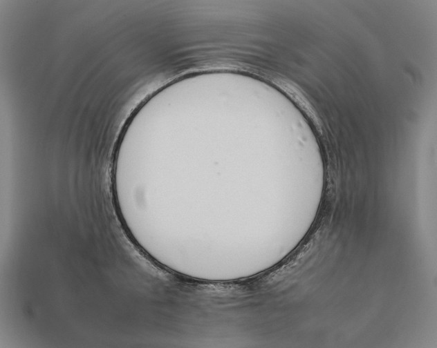 X0000112410805200909110948