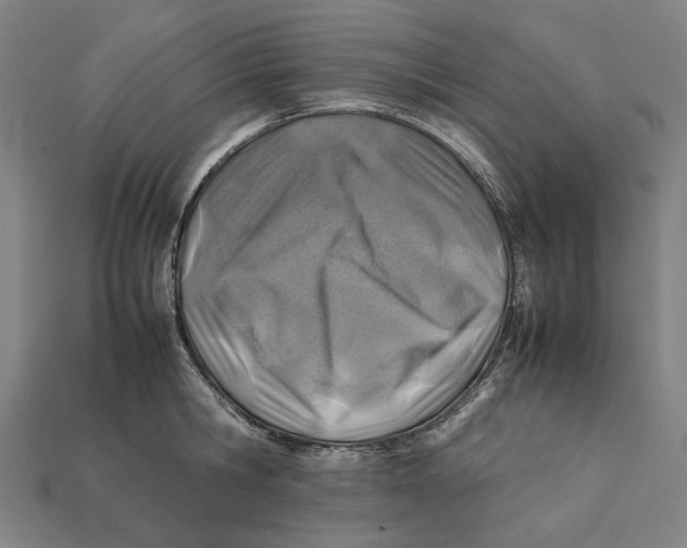 X0000112410806200909110948