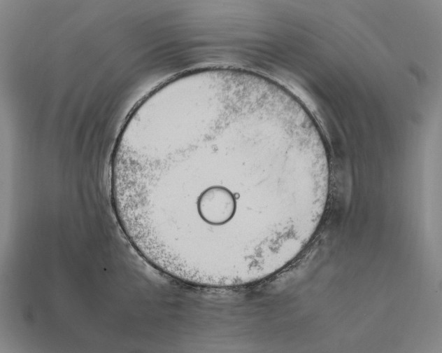 X0000112410807200909110948