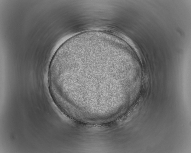 X0000112410811200909110948