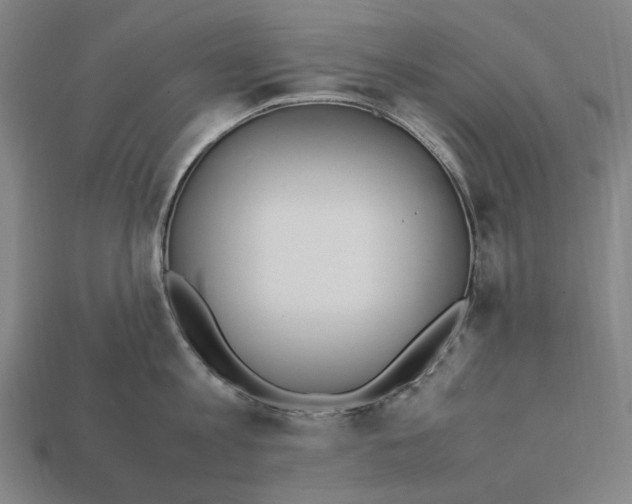 X0000112410813200909110948