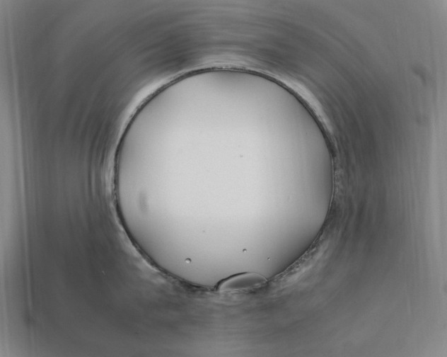 X0000112410815200909110948