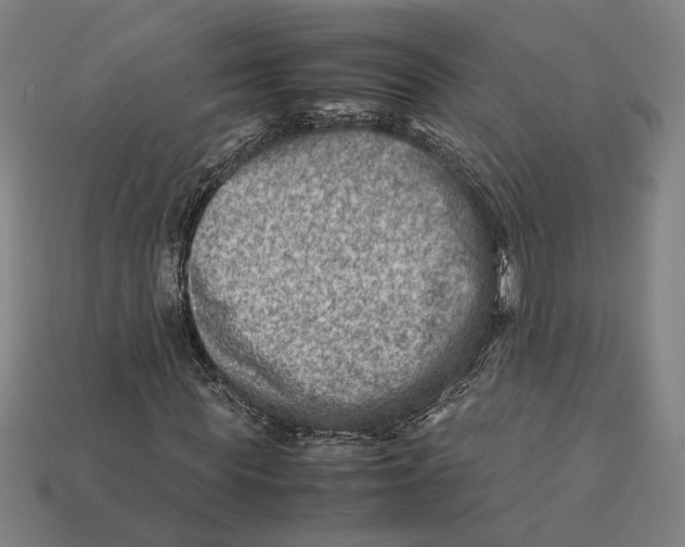 X0000112410819200909110948