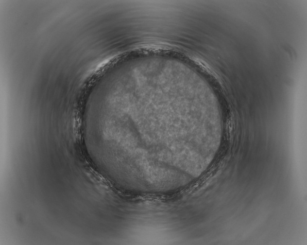 X0000112410822200909110948