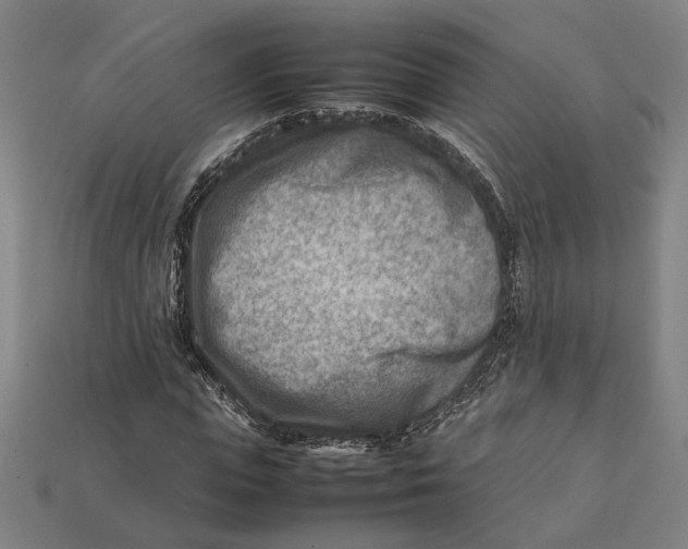 X0000112410823200909110948