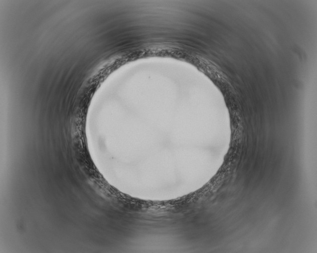 X0000112410824200909110948