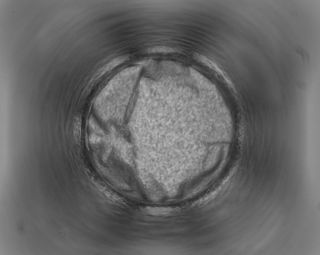 X0000112410825200909110948