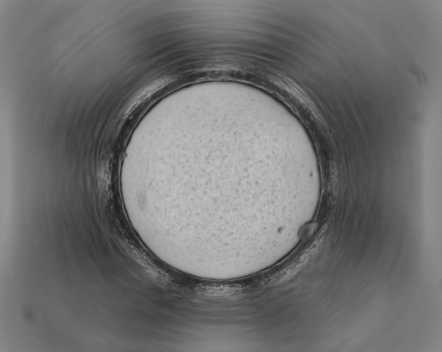 X0000112410826200909110948