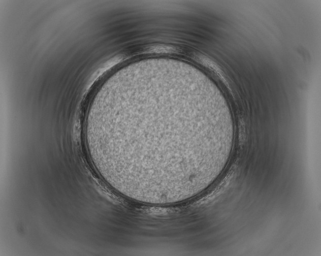 X0000112410827200909110948
