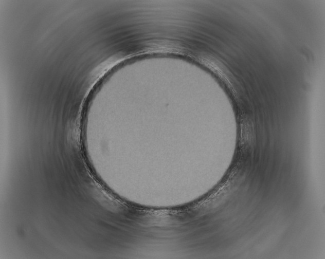 X0000112410828200909110948