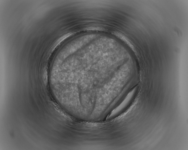 X0000112410829200909110948