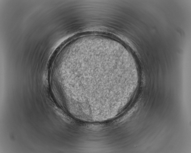 X0000112410830200909110948