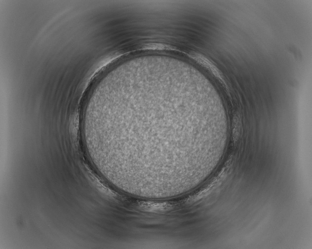 X0000112410831200909110948