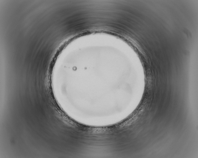 X0000112410832200909110948