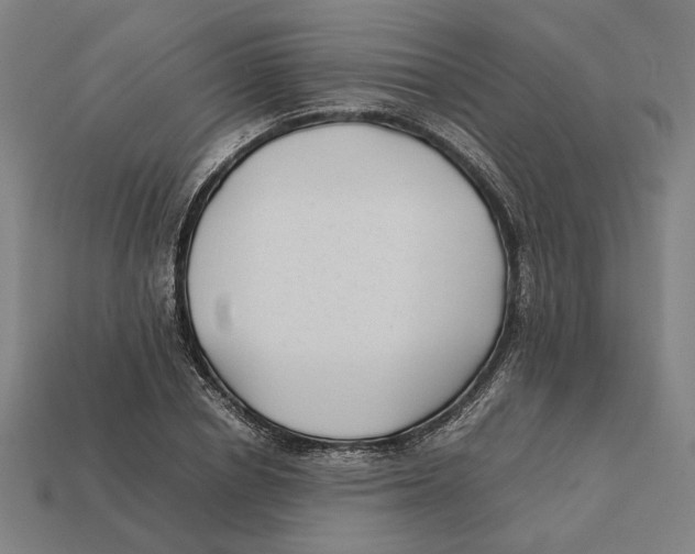 X0000112410834200909110948