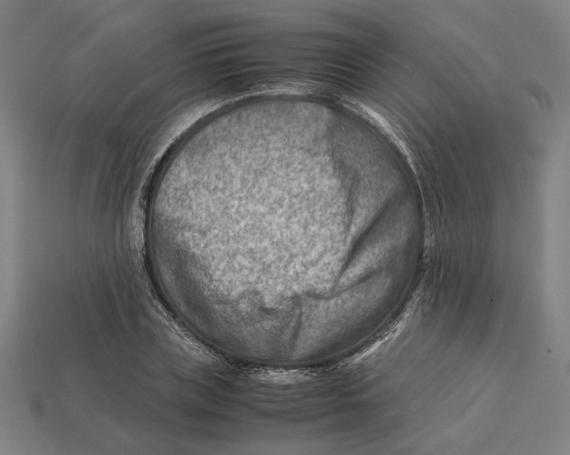 X0000112410835200909110948
