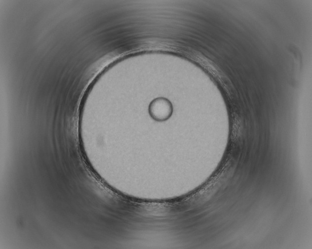 X0000112410836200909110948