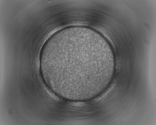 X0000112410837200909110948