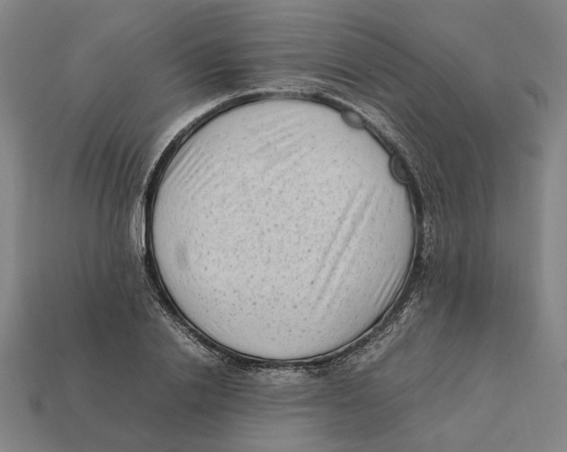 X0000112410838200909110948