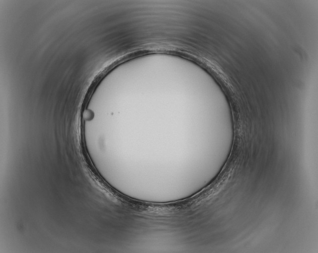 X0000112410840200909110948