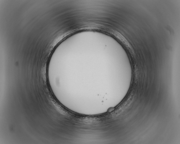 X0000112410842200909110948