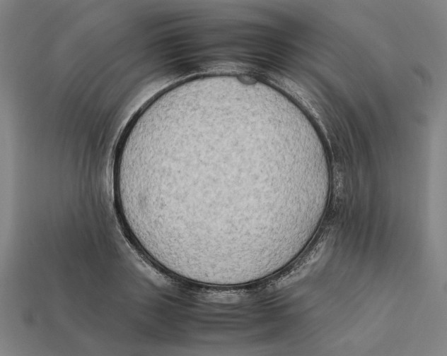 X0000112410843200909110948