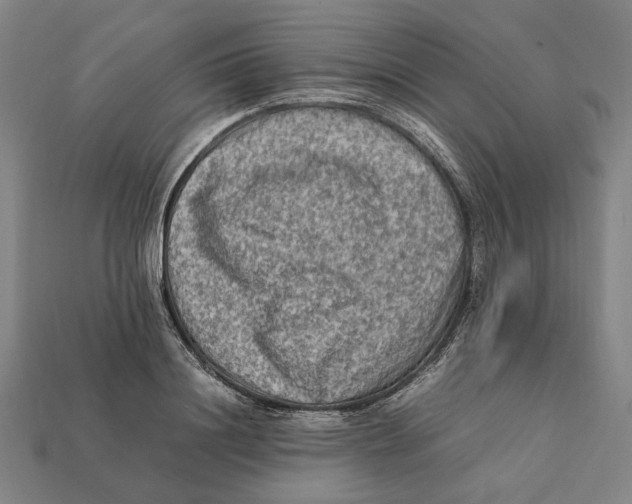 X0000112410844200909110948