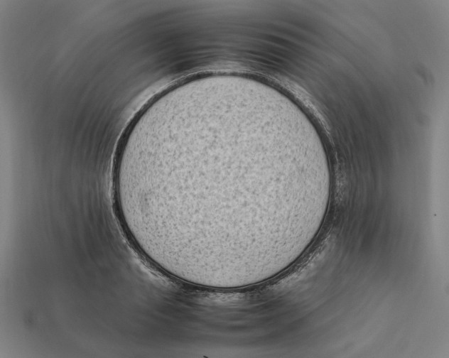 X0000112410845200909110948