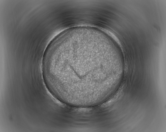 X0000112410847200909110948