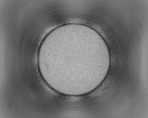 X0000112410848200909110948
